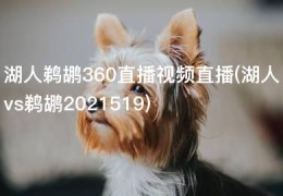 湖人鹈鹕360直播视频直播(湖人vs鹈鹕2021519)