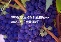 360全景运动相机直播(gopromax不拍全景画质)