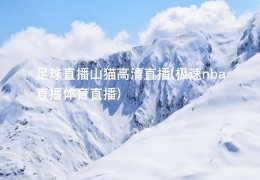 足球直播山猫高清直播(极速nba直播体育直播)