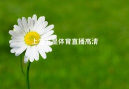 上海五星体育直播高清