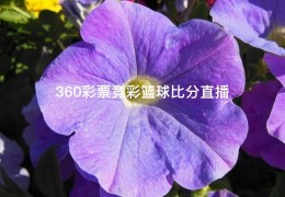 360彩票竞彩篮球比分直播