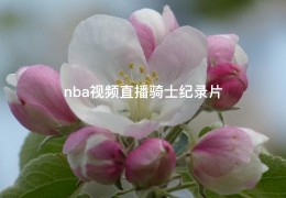 nba视频直播骑士纪录片