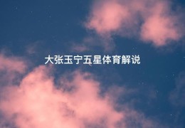 大张玉宁五星体育解说