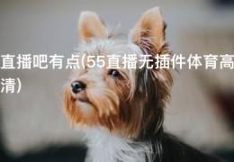 直播吧有点(55直播无插件体育高清)