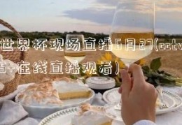 世界杯现场直播6月27(cctv5+在线直播观看)