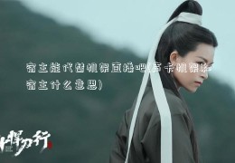 宿主能代替机架直播吧(声卡机架和宿主什么意思)