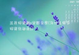 五星体育超g竞彩兑奖(为什么很多体育生都是g)