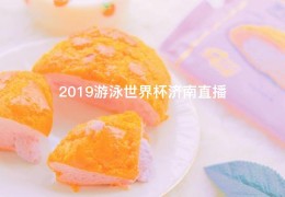 2019游泳世界杯济南直播