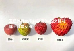 五星体育女排14决赛(中国女排对阵土耳其女排)