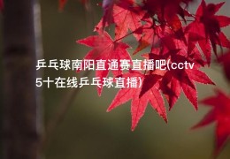 乒乓球南阳直通赛直播吧(cctv5十在线乒乓球直播)