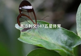 奥沙利文147五星体育