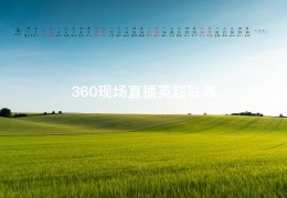 360现场直播英超联赛