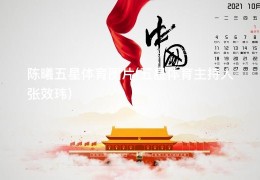 陈曦五星体育图片(五星体育主持人张效玮)