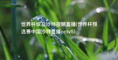 世界杯埃及沙特视频直播(世界杯预选赛中国沙特直播cctv5)