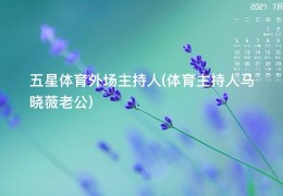 五星体育外场主持人(体育主持人马晓薇老公)