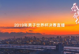 2019年男子世界杯决赛直播