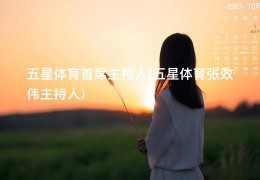 五星体育首席主持人(五星体育张效伟主持人)