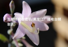 五星体育收音机(黑龙江广播电台频率表)