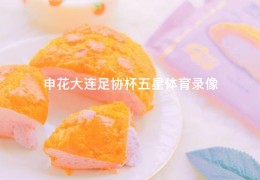 申花大连足协杯五星体育录像